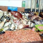 poissons telegraph 150x150 - رمضان والأسعار.. شهر الغلاء والأسماك والبيض الأكثر تأثرا