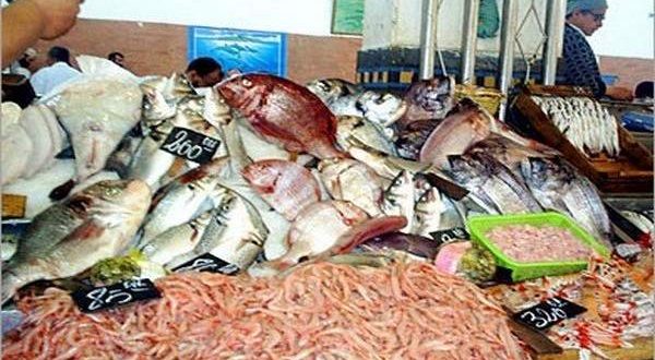 poissons telegraph 600x330 - رمضان والأسعار.. شهر الغلاء والأسماك والبيض الأكثر تأثرا