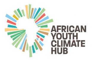 unnamed 310x205 - "الشباب الإفريقي من أجل المناخ" مبادرة ناجحة لمواجهة التغيرات المناخية في إفريقيا
