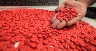 1575023784 310x165 - المغرب يمنع دخول كميات قياسية من الأقراص المهلوسة والكوكايين قادمة من إسبانيا